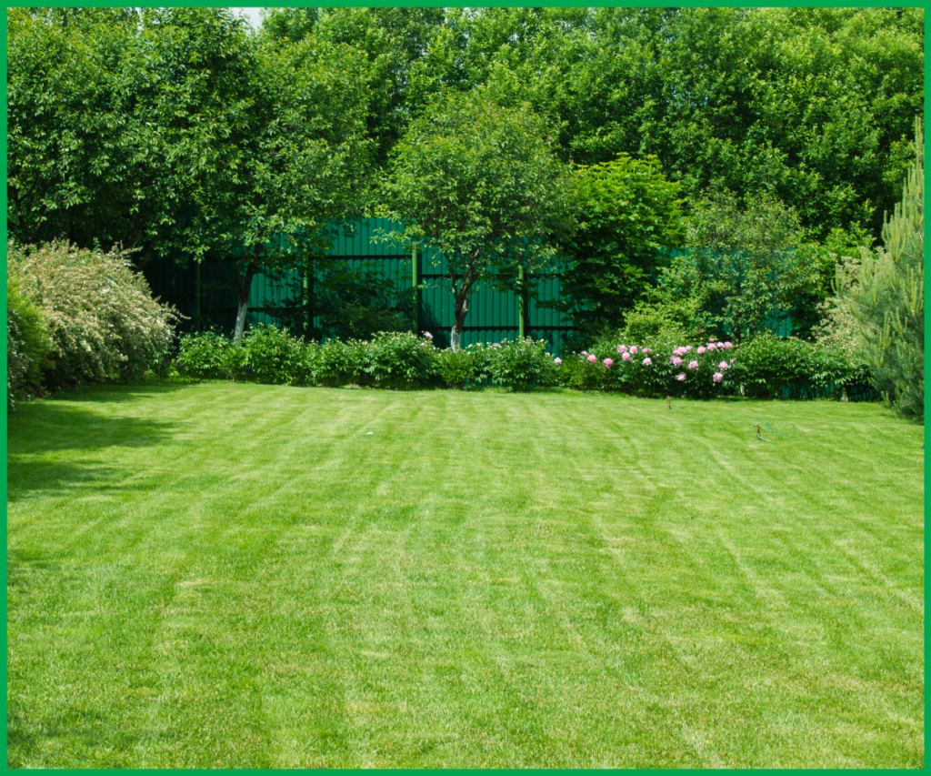 Thi công sân vườn và TOP 7 loại cỏ trồng để đẹp