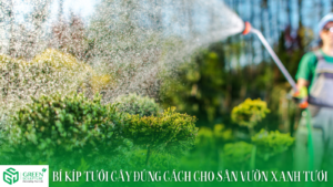 Bí Kíp Tưới Cây Đúng Cách Cho Sân Vườn Xanh Tươi