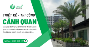 Cung cấp dịch vụ tư vấn thiết kế thi công cảnh quan