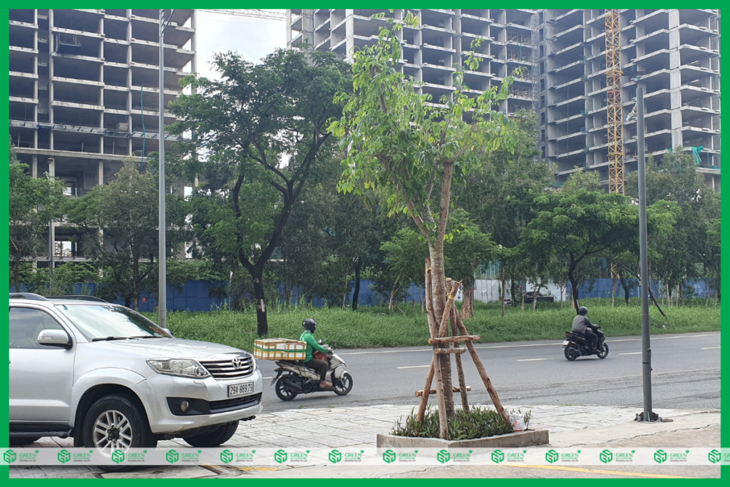 THI CÔNG CẢNH QUAN TẠI GREEN SCULPTURE